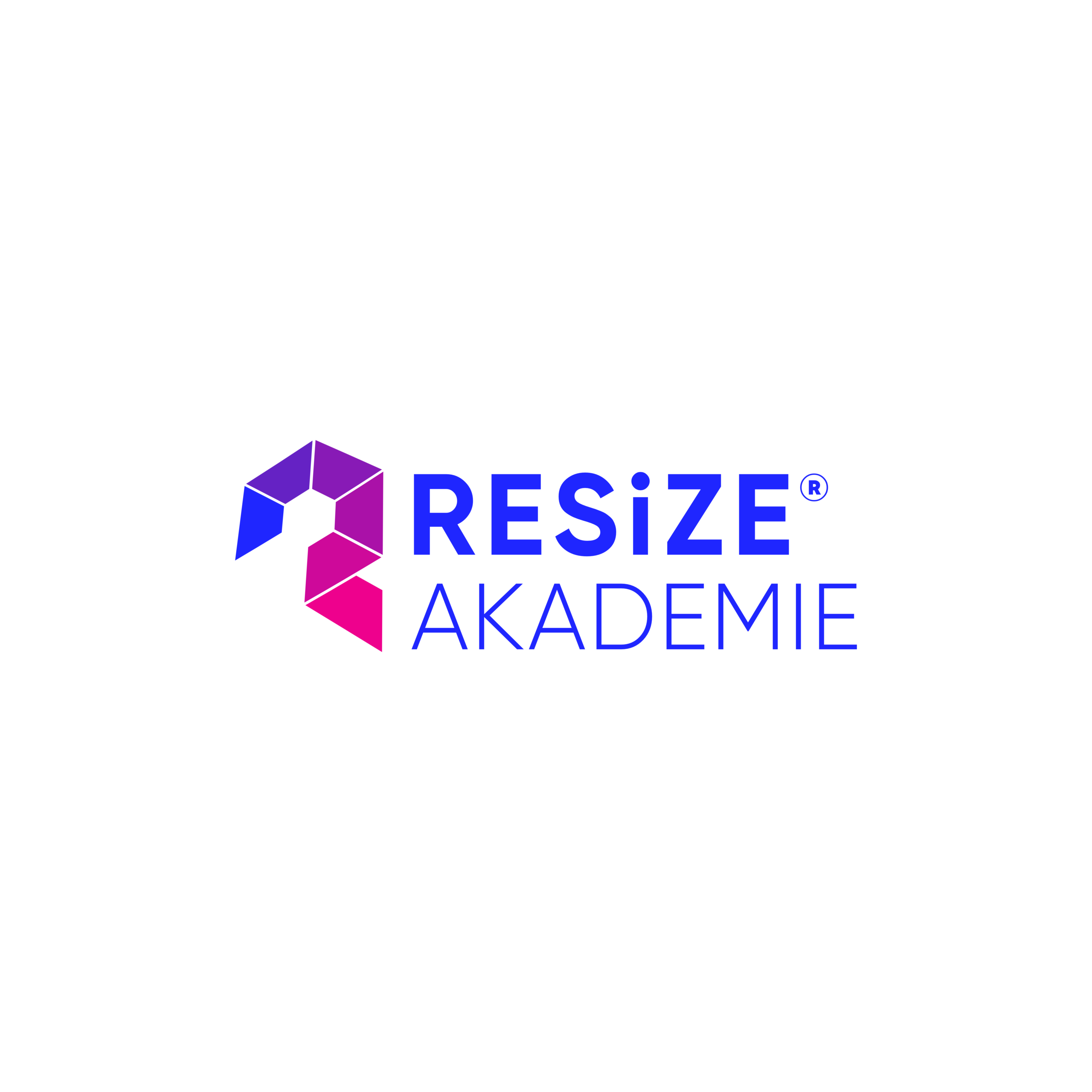 RESiZE Akademie
